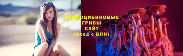 прущие крисы Алзамай