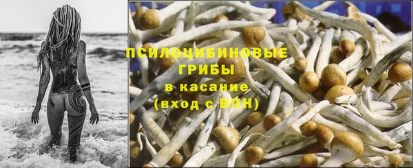 спиды Алексин