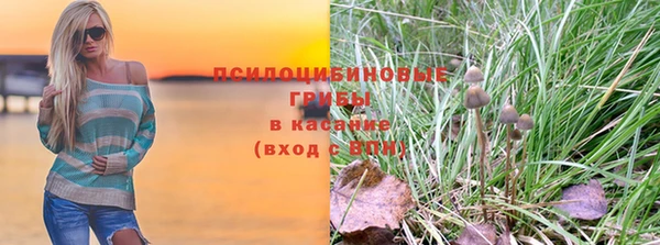 прущие крисы Алзамай