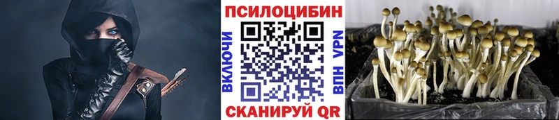 Псилоцибиновые грибы Psilocybine cubensis  Амурск 