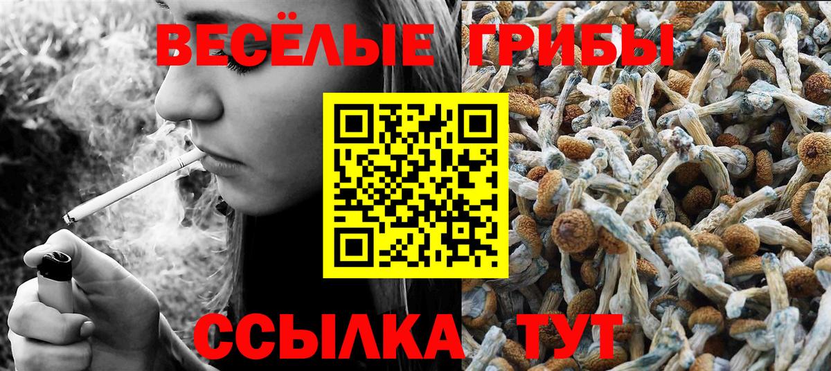 Галлюциногенные грибы Cubensis Амурск
