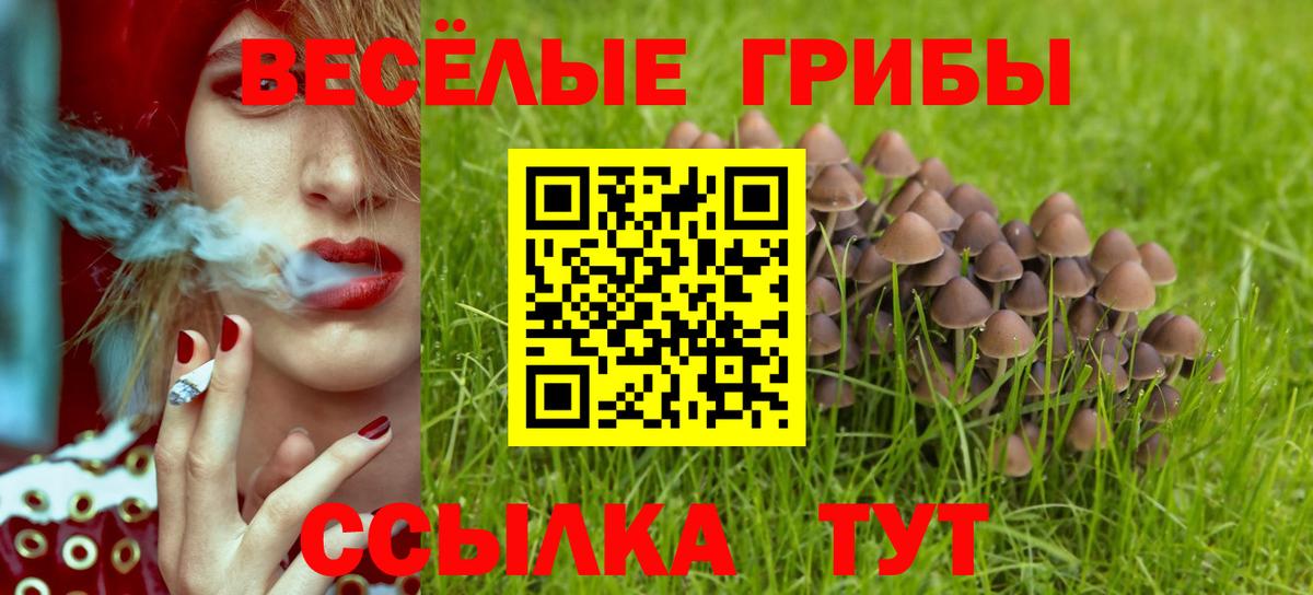 Амурск  Галлюциногенные грибы Cubensis  Вход с VPN 